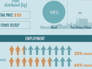2013 Results Report Infographics