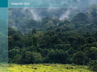 The Impacts of International REDD+ Finance