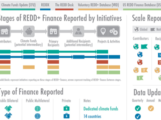 REDD Initiatives Infographic