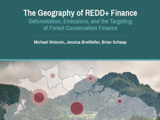 The Geography of REDD+ Finance