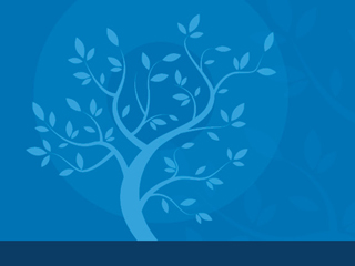 Safeguards Report Series