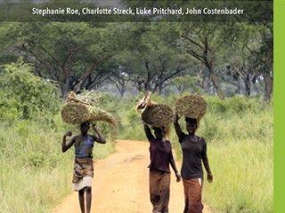 Safeguards in REDD+ and Forest Carbon Standards