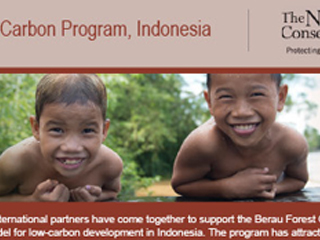 TNC Program Factsheets