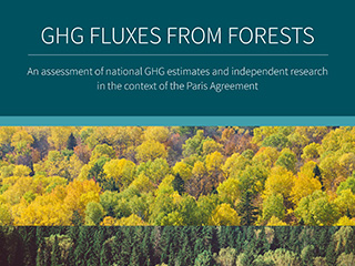 GHG Fluxes from Forests Forests
