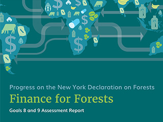 Finance for Forests