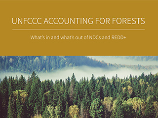 UNFCCC Accounting for Forests