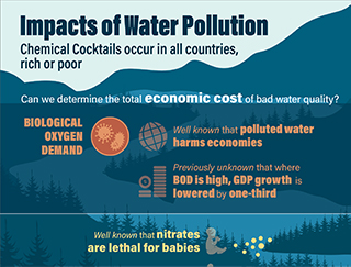 Impacts of Water Pollution